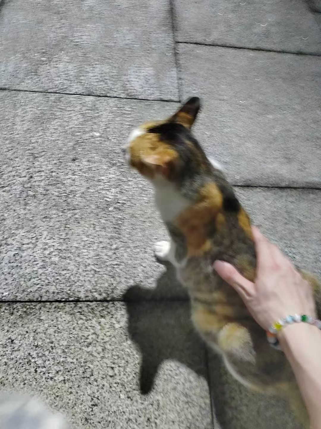 n老师 学姐