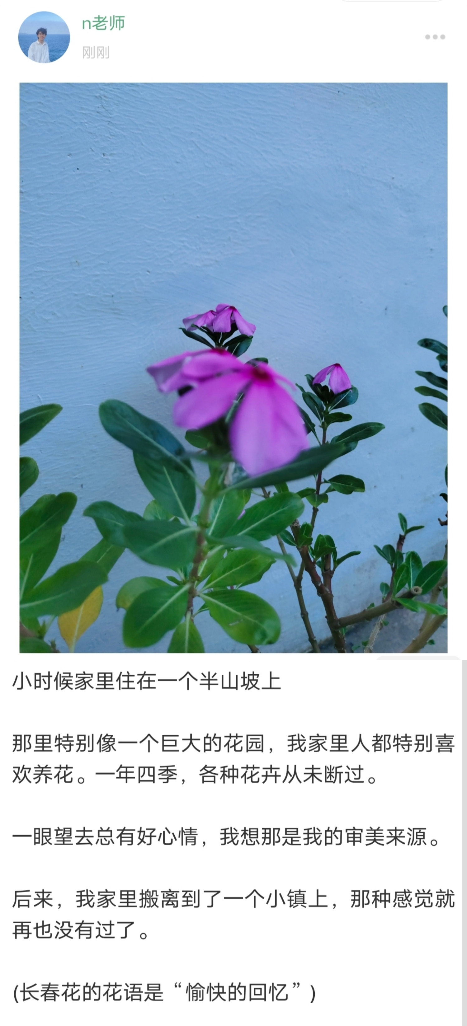 n老师 学姐